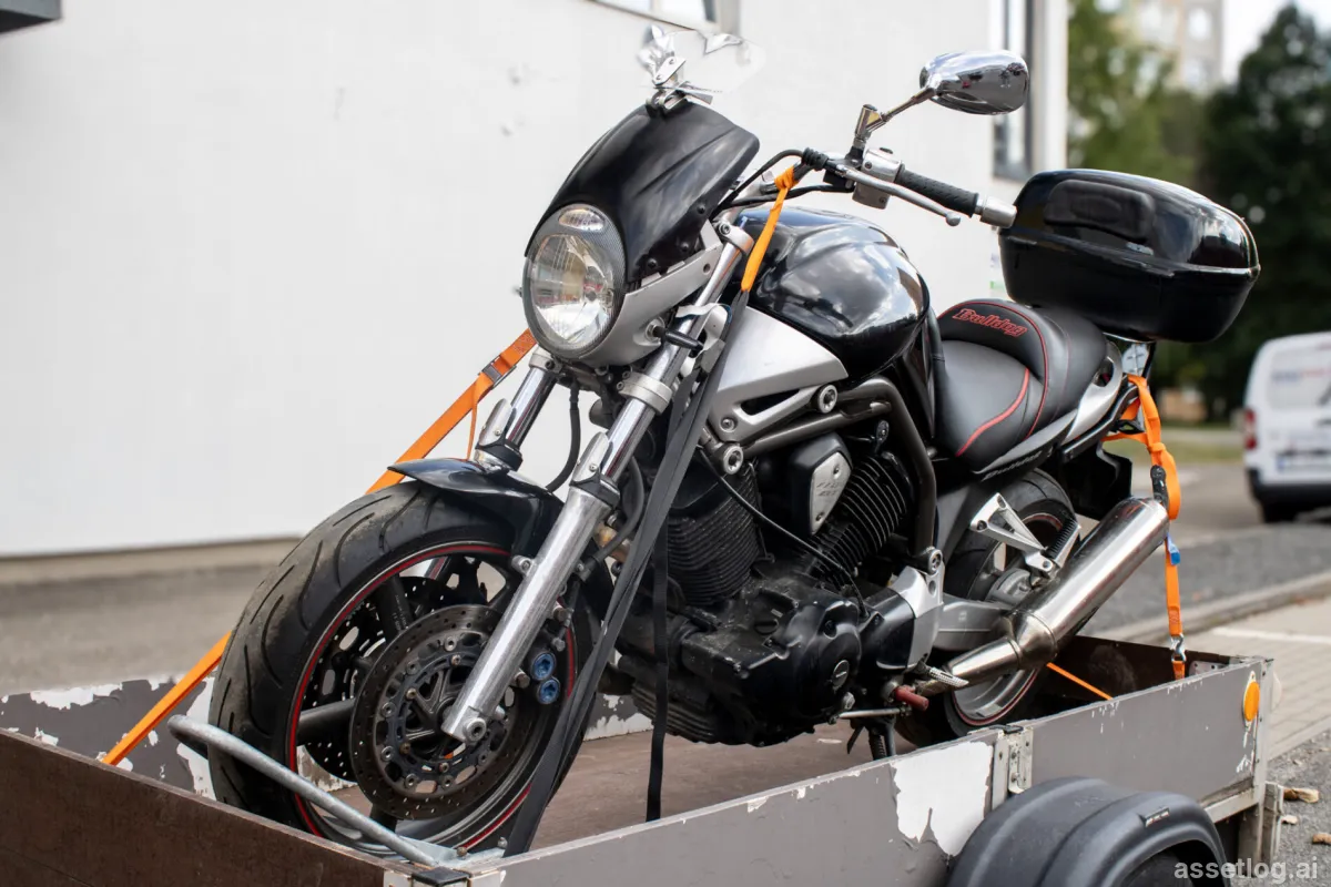 Asset photo 1