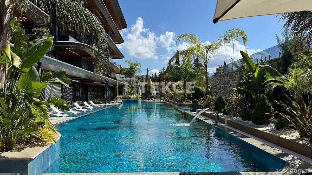 Asset photo 1