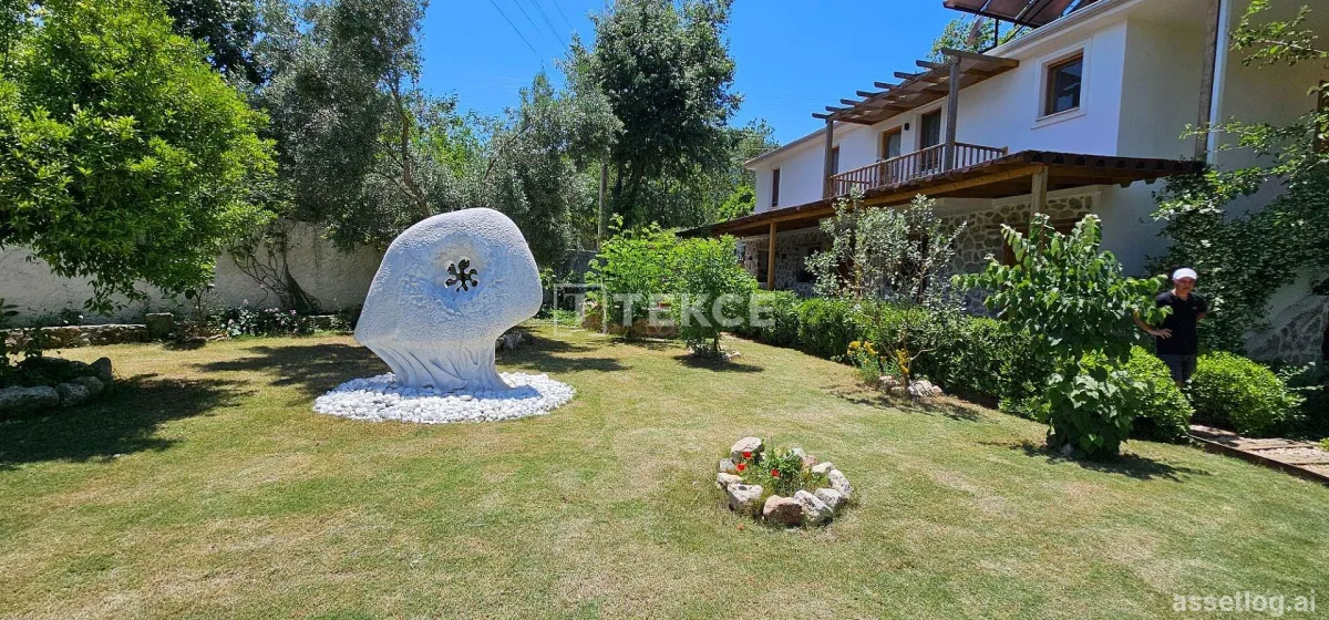 Asset photo 1