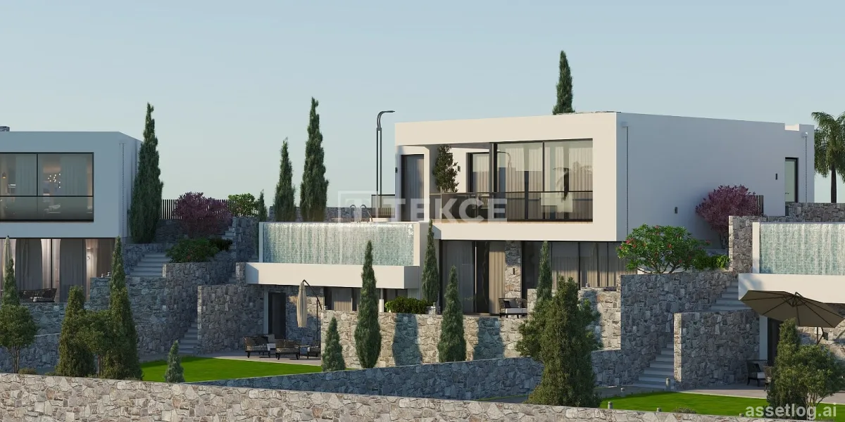Asset photo 1