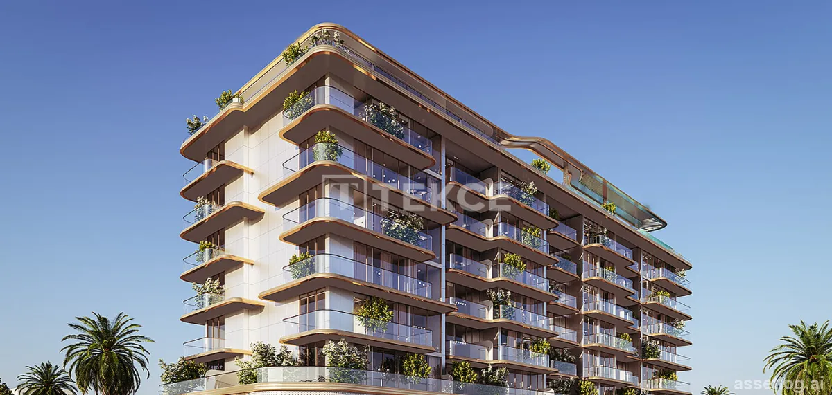 Asset photo 1
