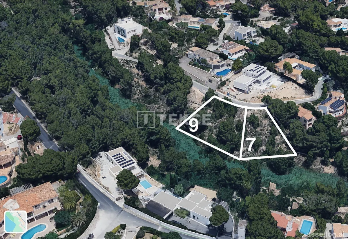 Asset photo 1