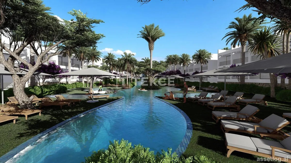 Asset photo 1