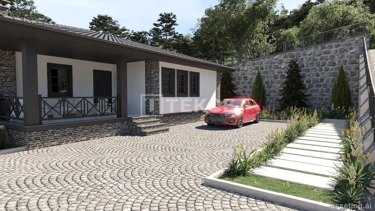 Asset photo 1