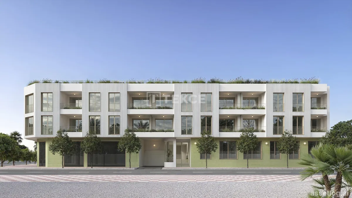 Asset photo 1