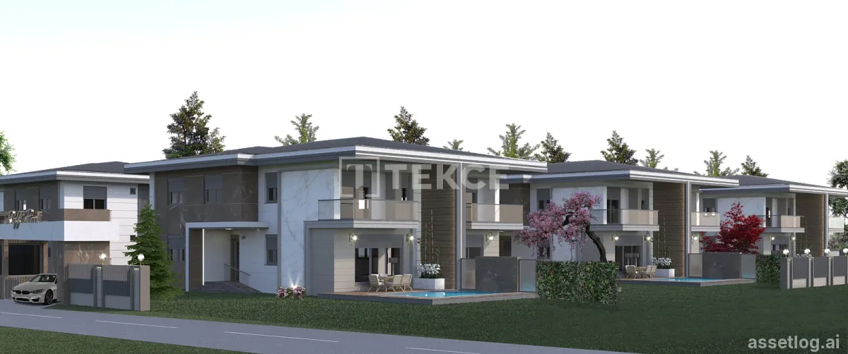Asset photo 1