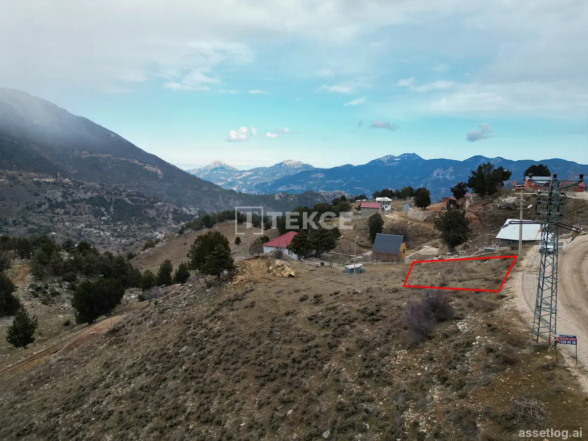 Asset photo 1