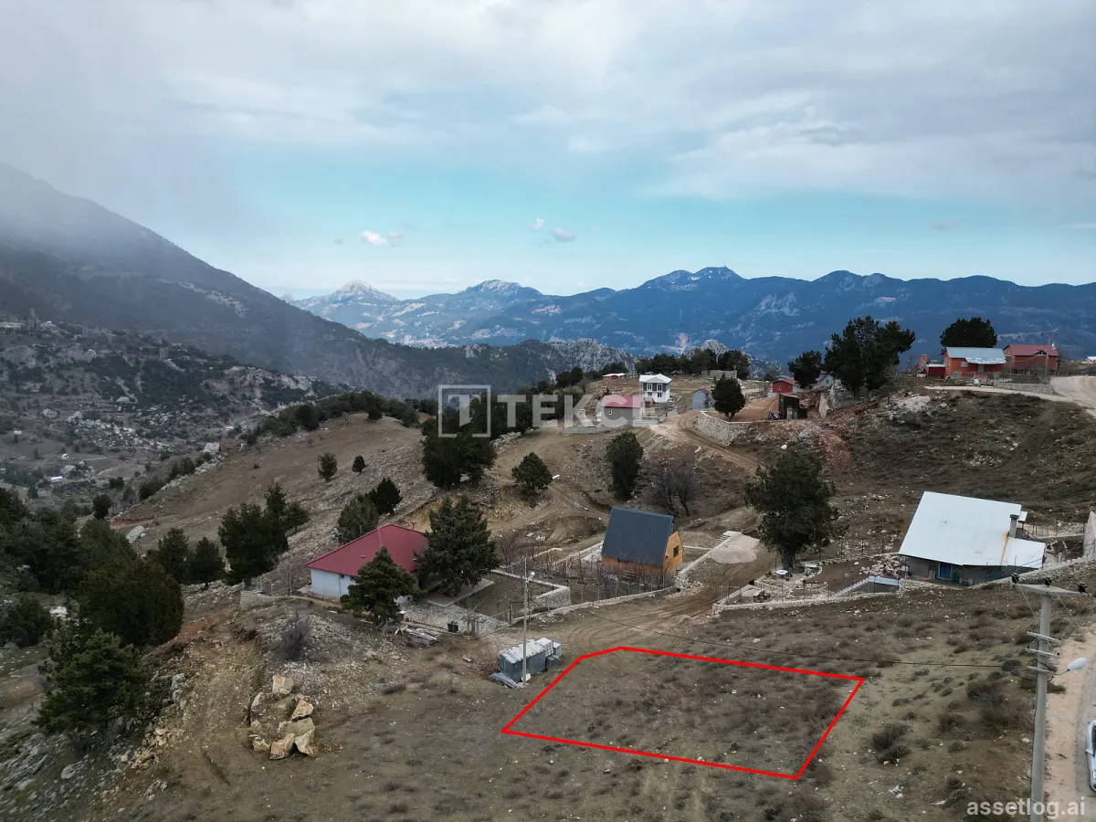 Asset photo 1
