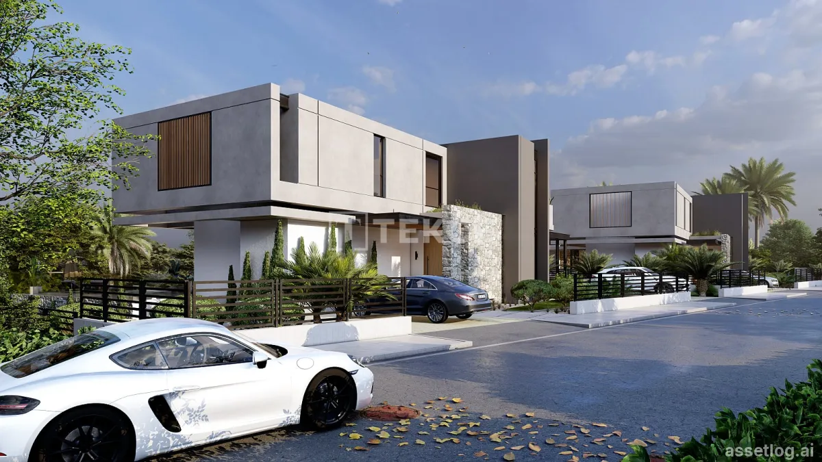Asset photo 1