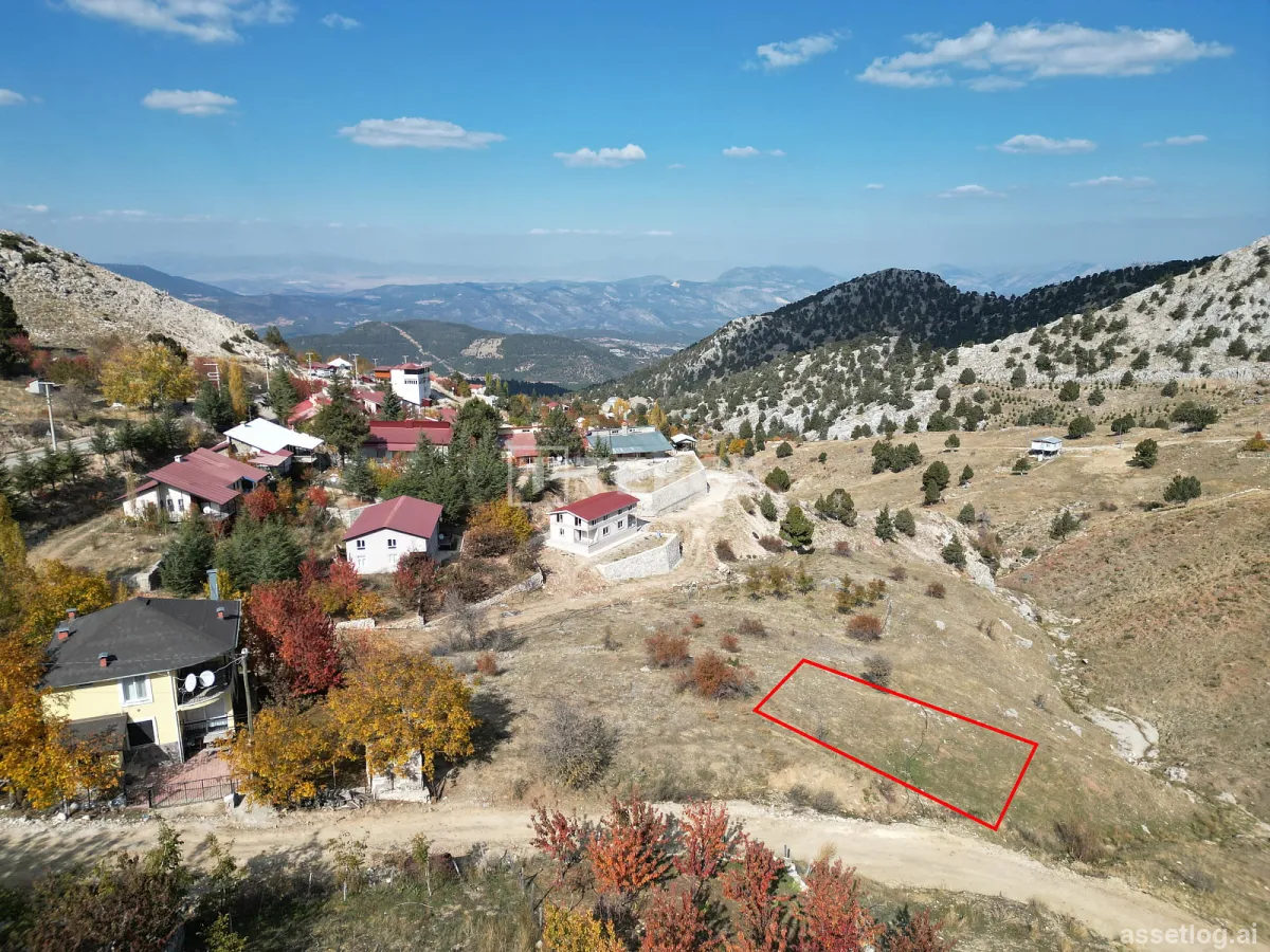 Asset photo 1