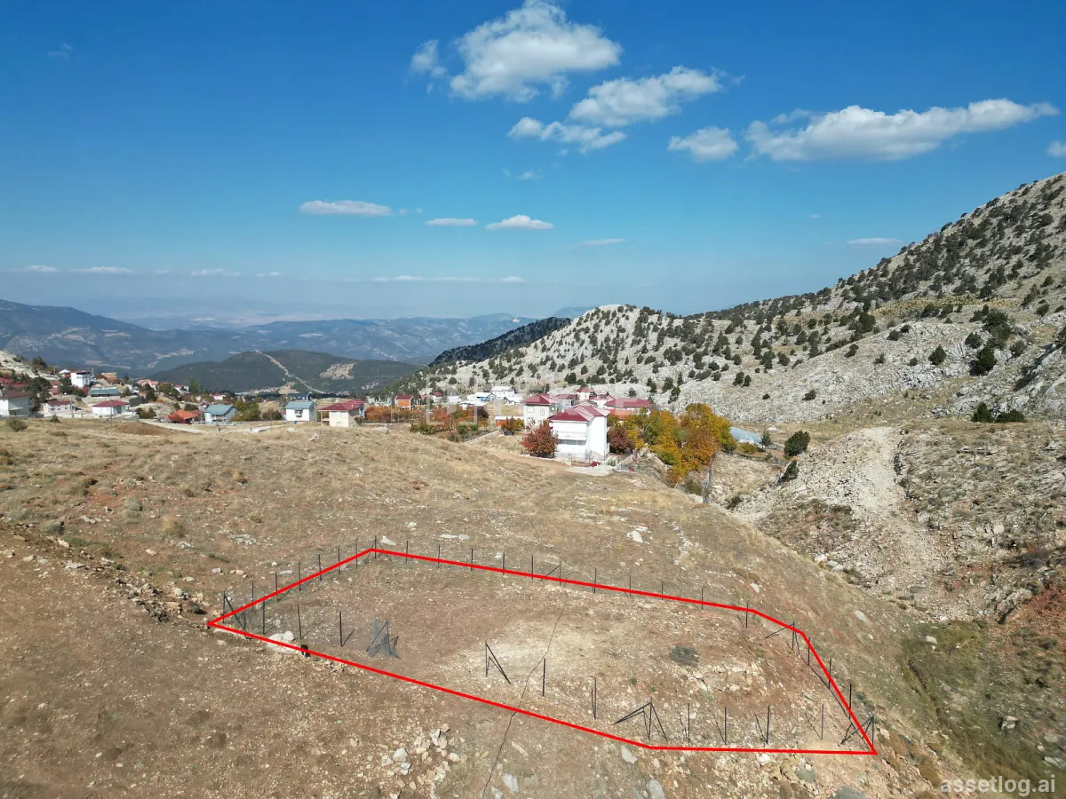 Asset photo 1