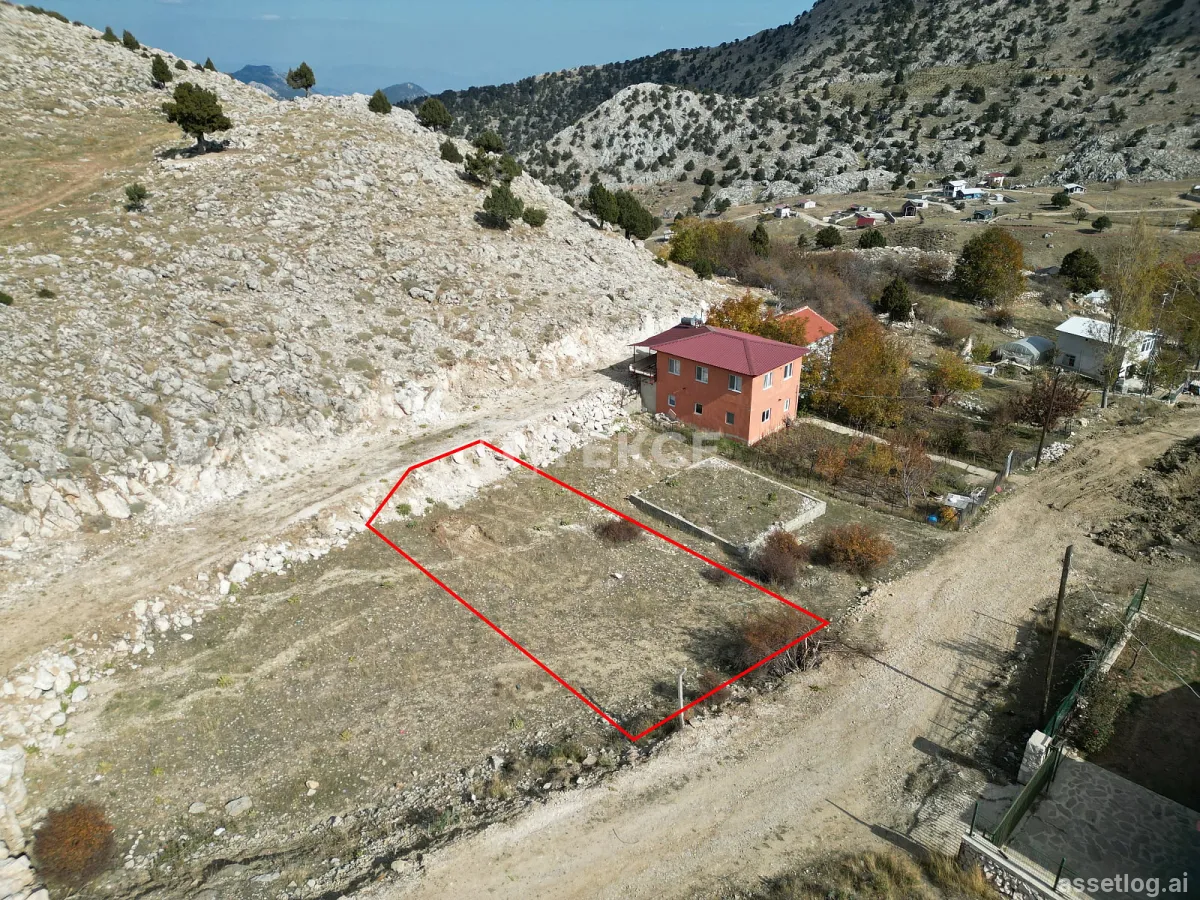 Asset photo 1