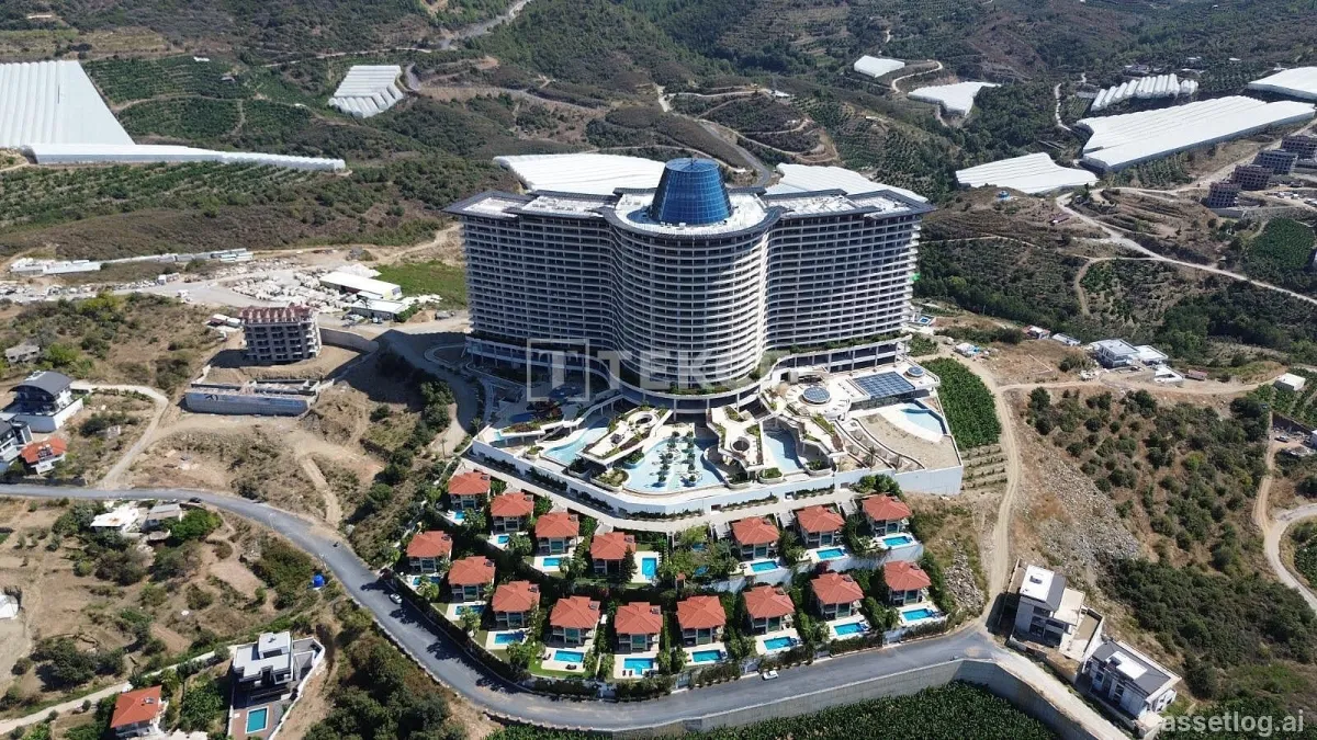 Asset photo 1