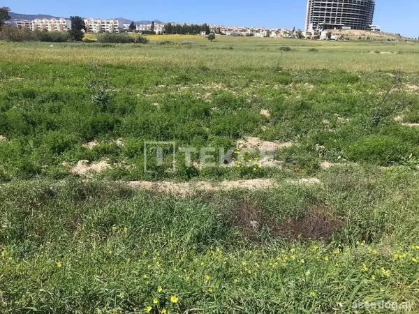 Zoning Land Suitable for Villa Construction in İskele Boğaz