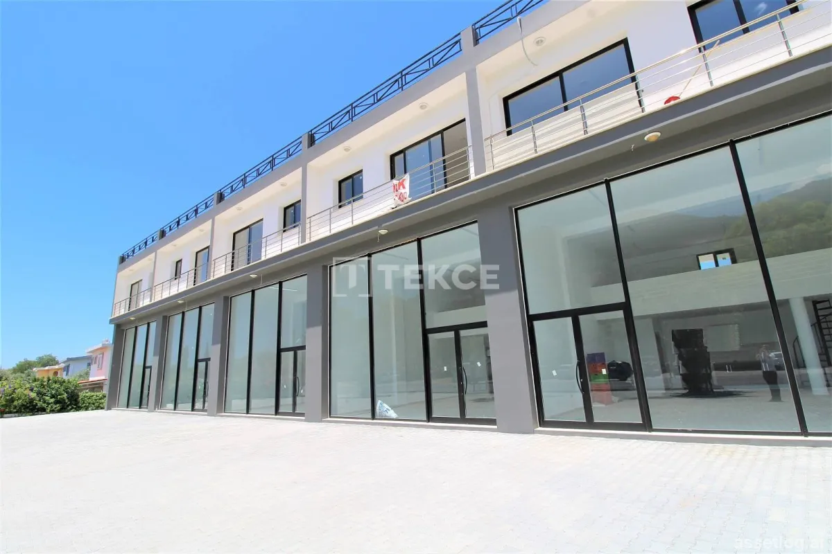 Asset photo 1