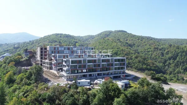Properties with Nature and Sea Views in Termal Yalova