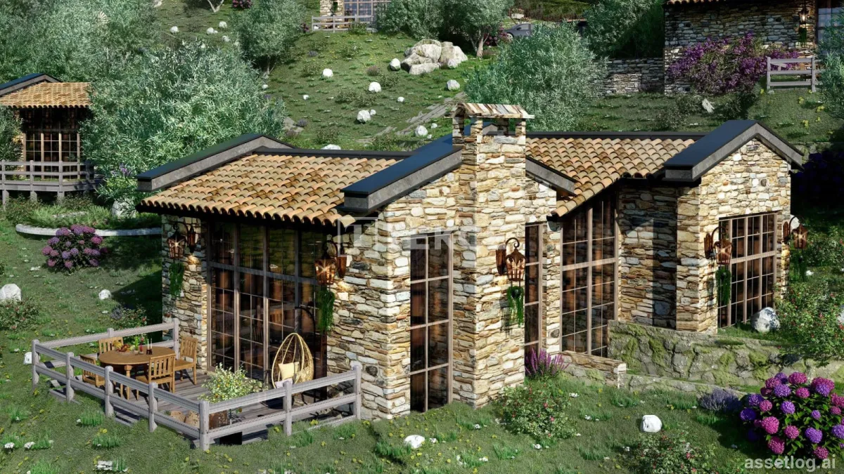Asset photo 1
