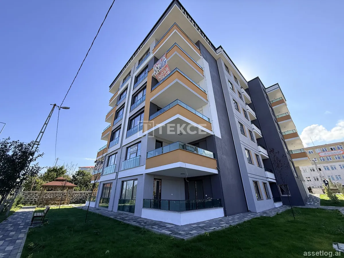Asset photo 1