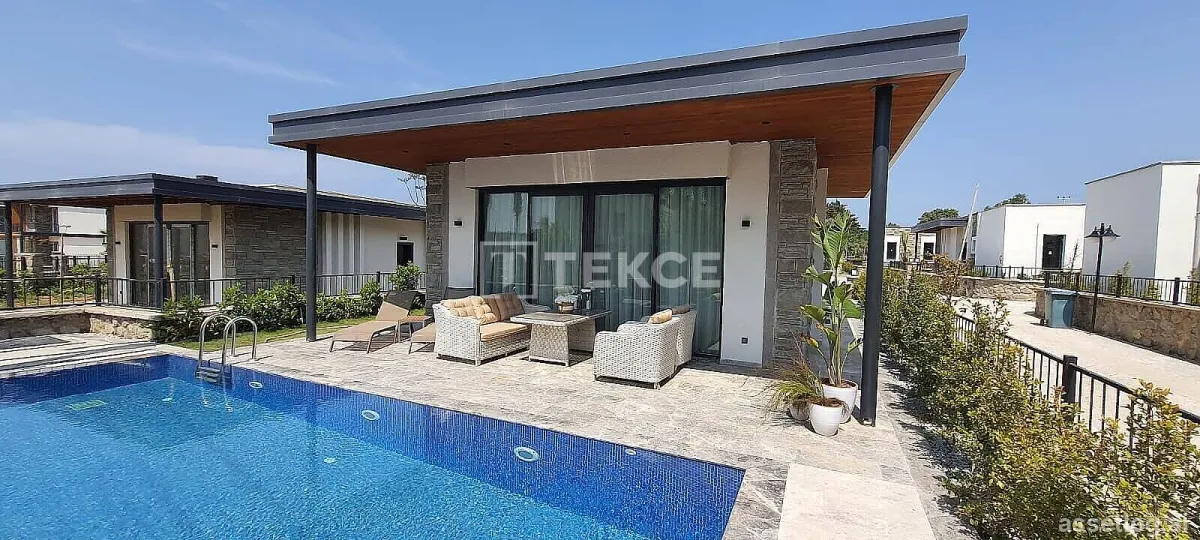 Asset photo 1