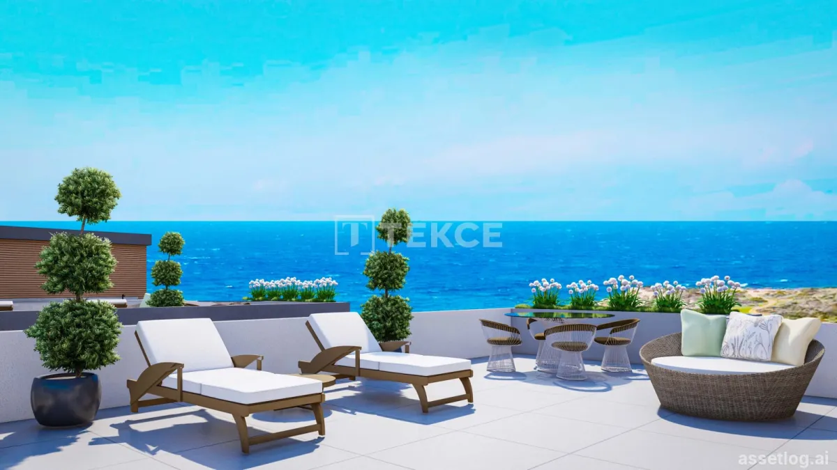 Asset photo 1