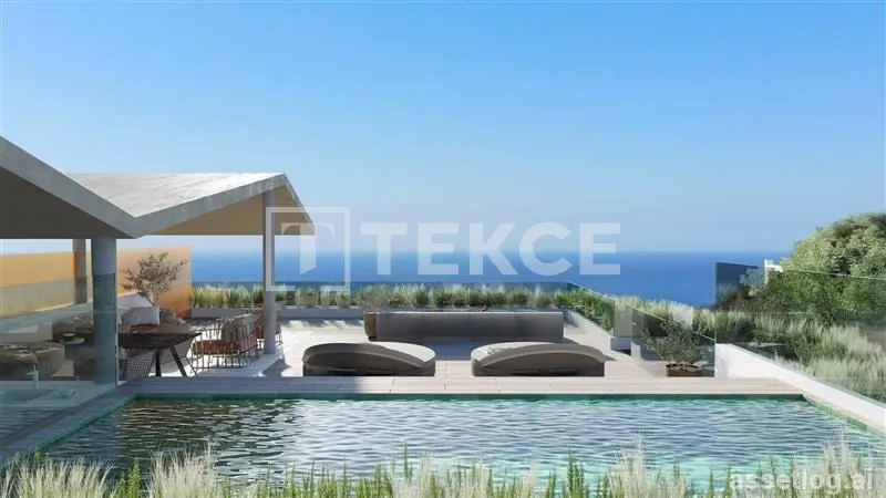 Asset photo 1
