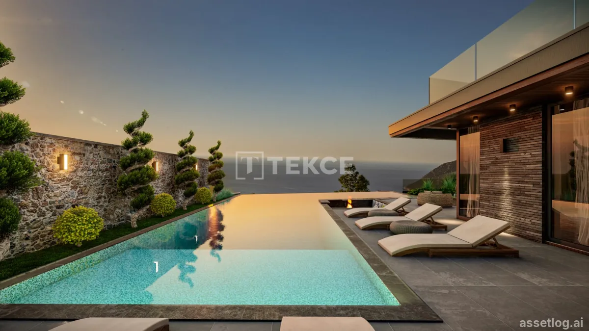 Asset photo 1