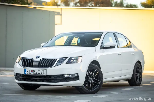 Škoda Octavia 2.0 TSI Ambition DSG, 140kW, A7 / AJ ON INSTALLMENTS / TRADE-IN /