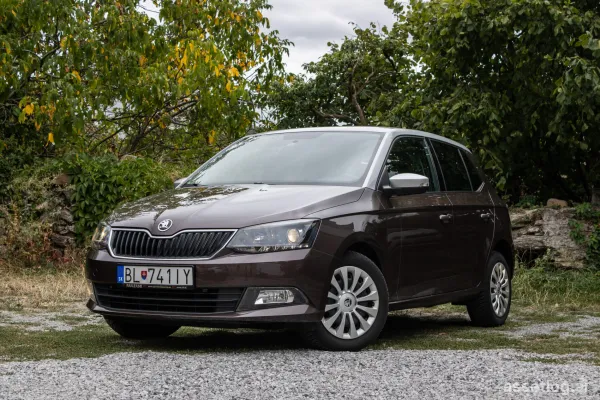 Skoda Fabia 1.2 TSI, 66kW (2015) / CAR ON INSTALLMENTS / TRADE-IN /
