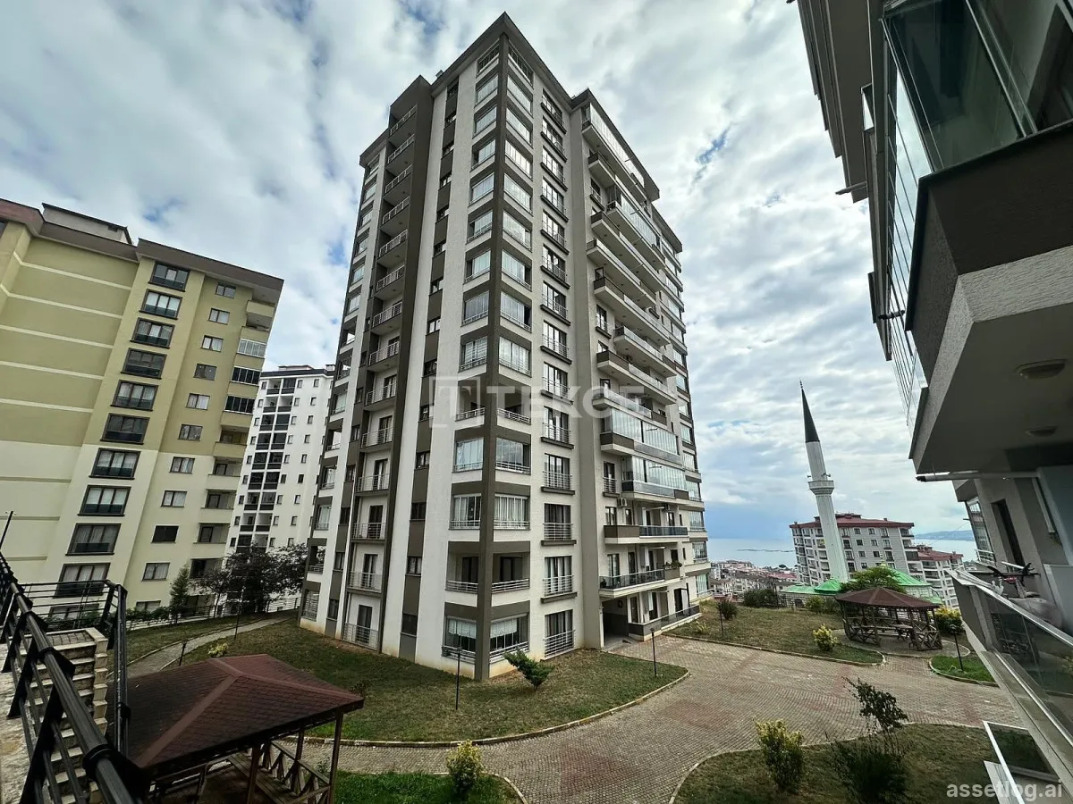 Asset photo 1