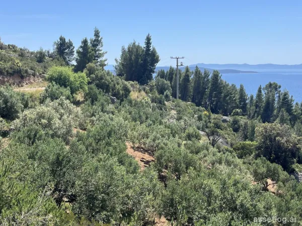 Hvar, Baugrundstück zum Kauf