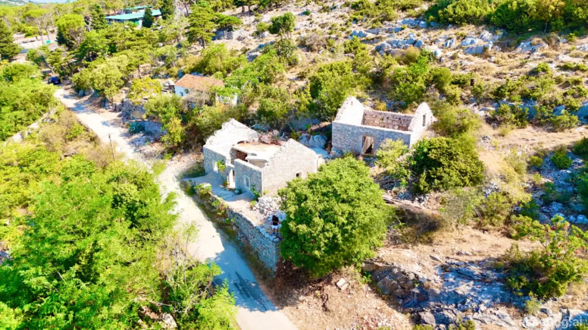 Asset photo 1