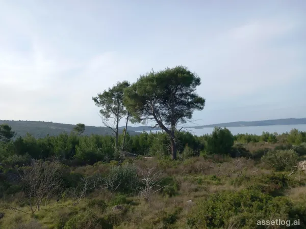 Brač, landwirtschaftliche Grundstücke zum Kauf