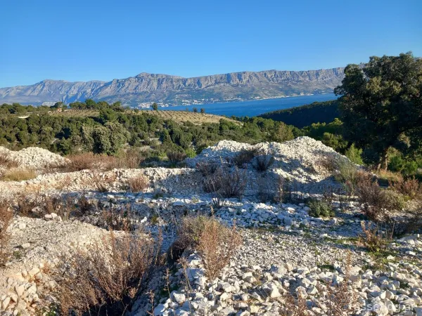 Brač, landwirtschaftliche Grundstücke zum Kauf