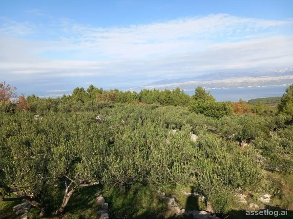 Brač, landwirtschaftliche Grundstücke zum Kauf