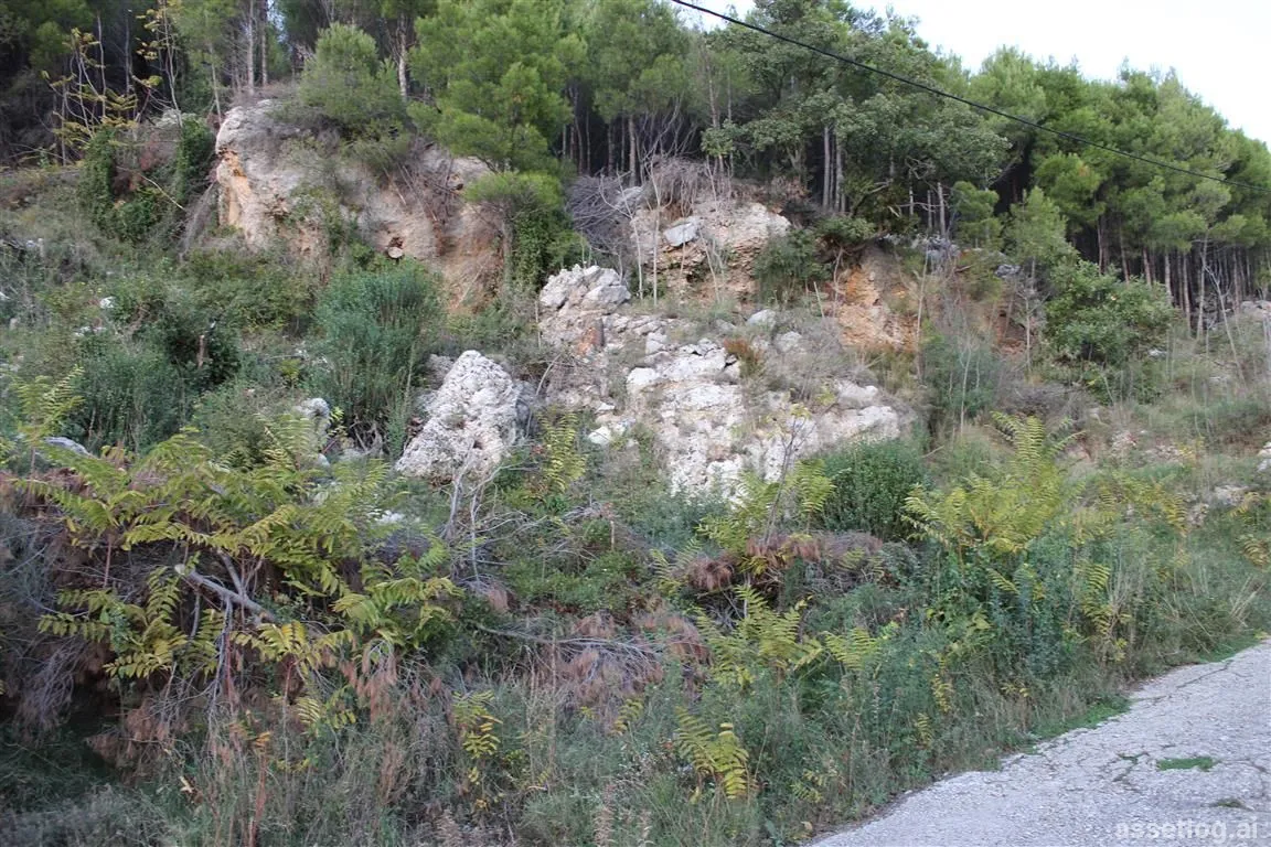 Asset photo 1