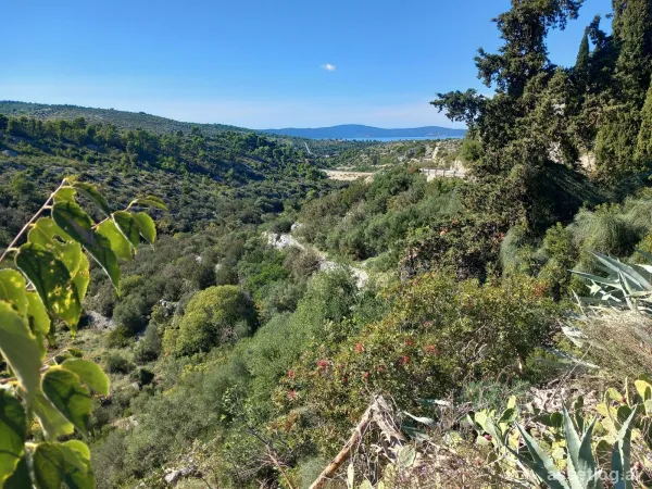 Brač, landwirtschaftliche Grundstücke zum Kauf