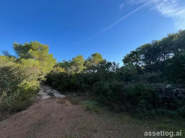Asset photo 1