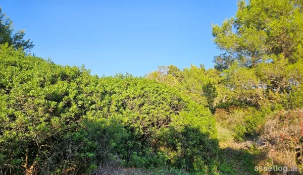Hvar, Baugrundstück zum Kauf