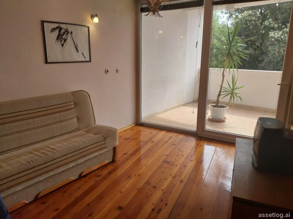 Asset photo 1