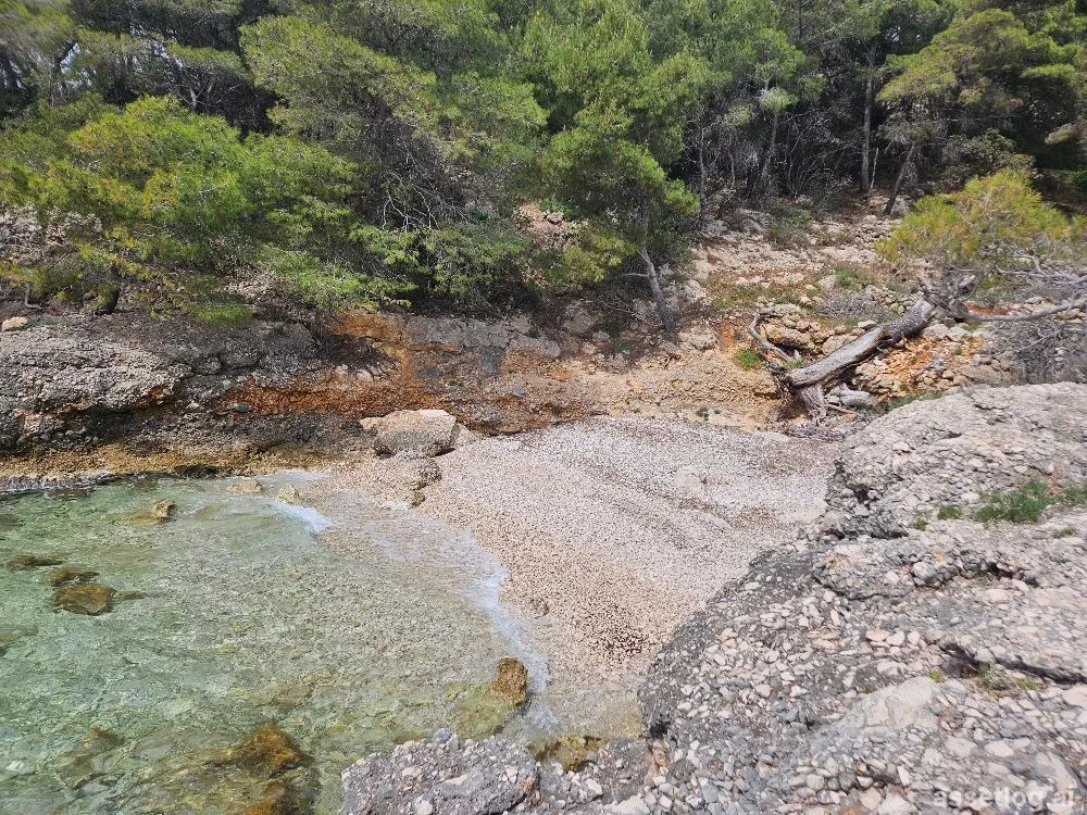 Asset photo 1