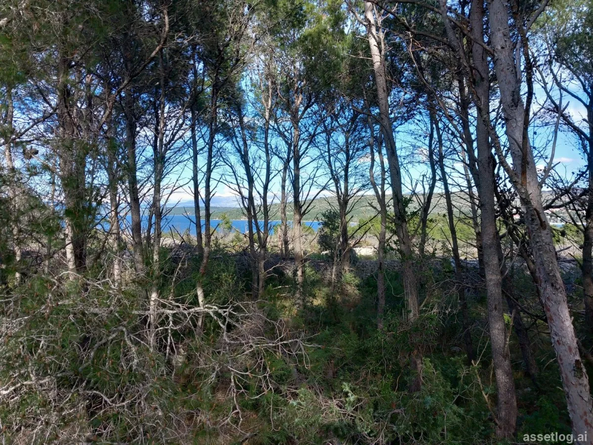 Asset photo 1