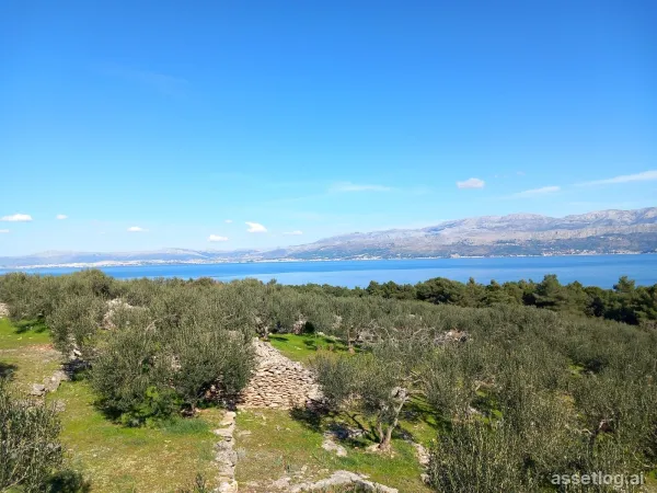 Brač, landwirtschaftliche Grundstücke zum Kauf