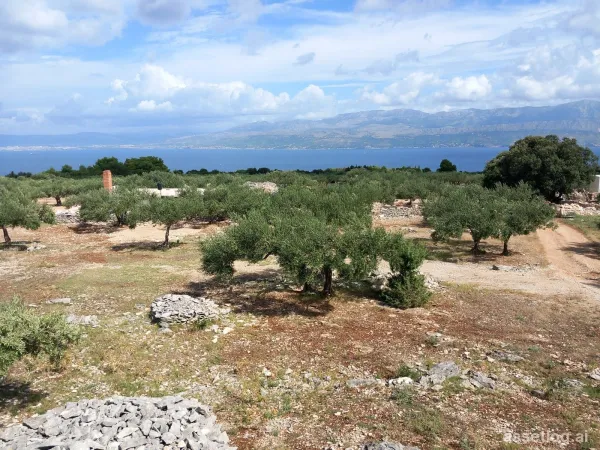 Brač, landwirtschaftliche Grundstücke zum Kauf