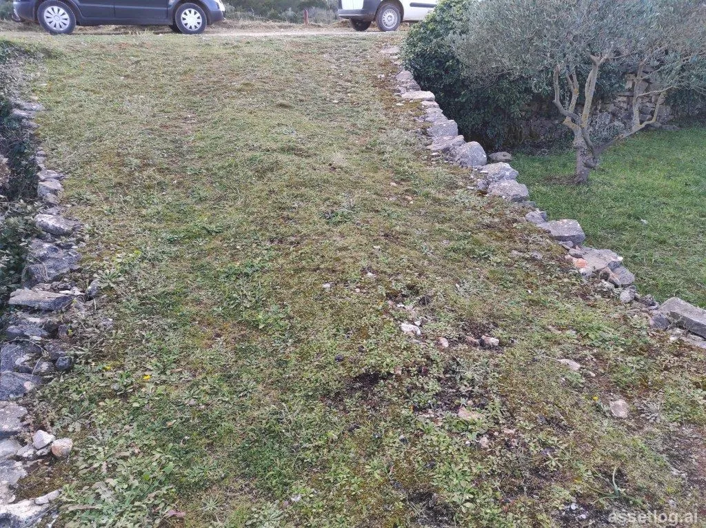 Asset photo 1