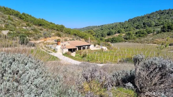 Vis, house for sale