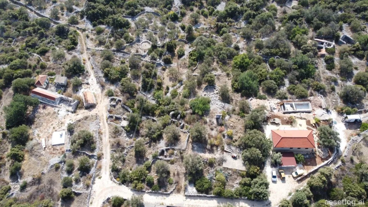 Asset photo 1