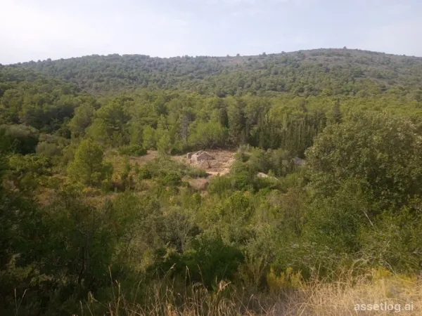 Vis, old stone house for sale