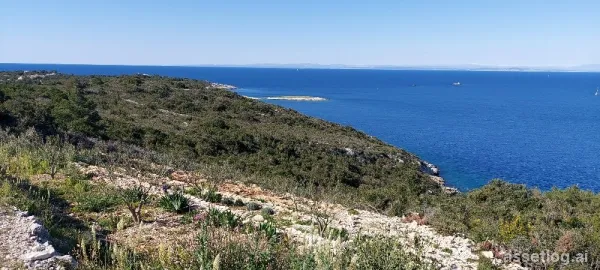 Vis, agricultural land for sale