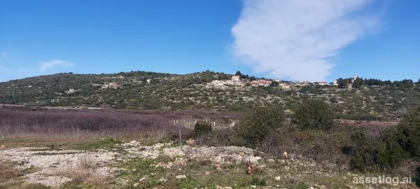 Vis, agricultural land for sale