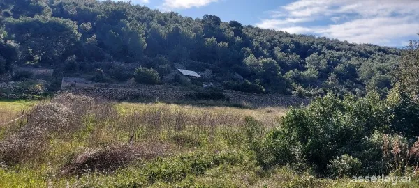 Vis, agricultural land for sale